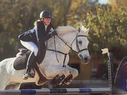 Haras des Templiers Equus